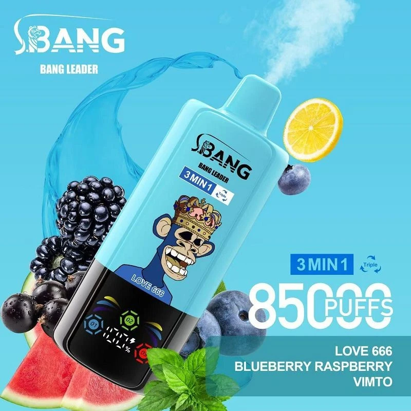 BANG LEGEND 3IN1 85000 suppliers