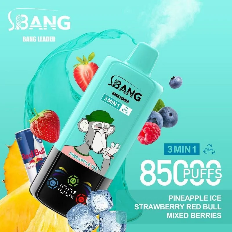 BANG LEGEND 3IN1 85000 suppliers
