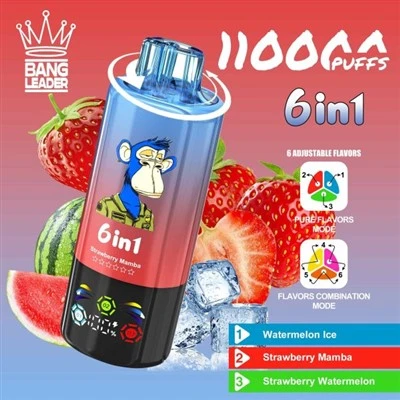 BANG LEGEND 3in1 110000
