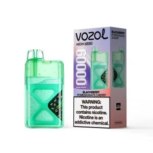 VOZOL Neon 60000 PUFFS suppliers