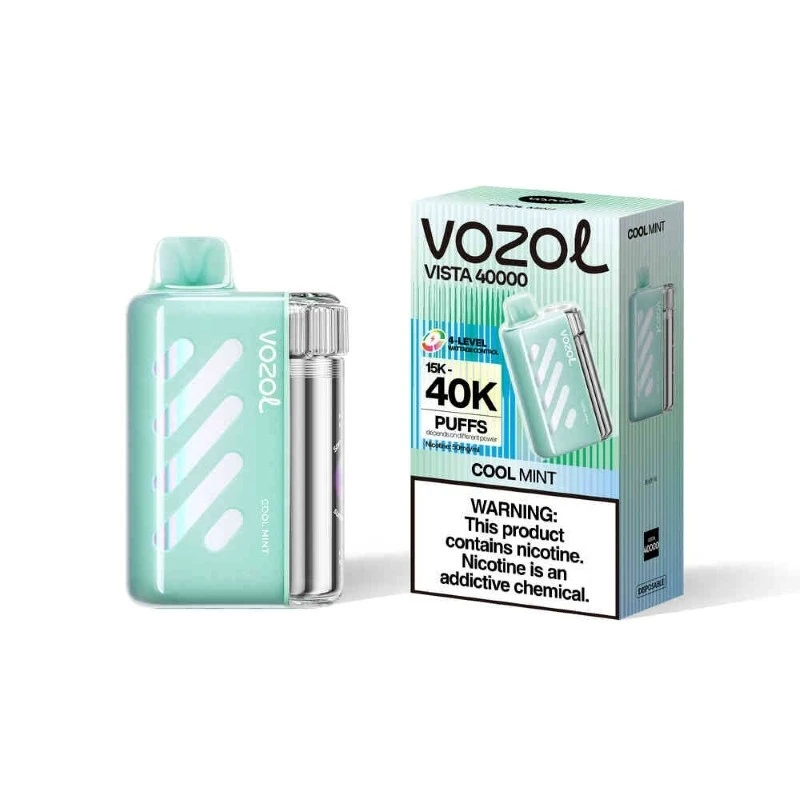 Vozol Vista 40000 best