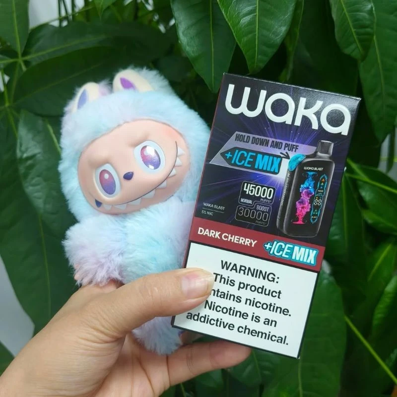 WAKA BLAST 45000 factory