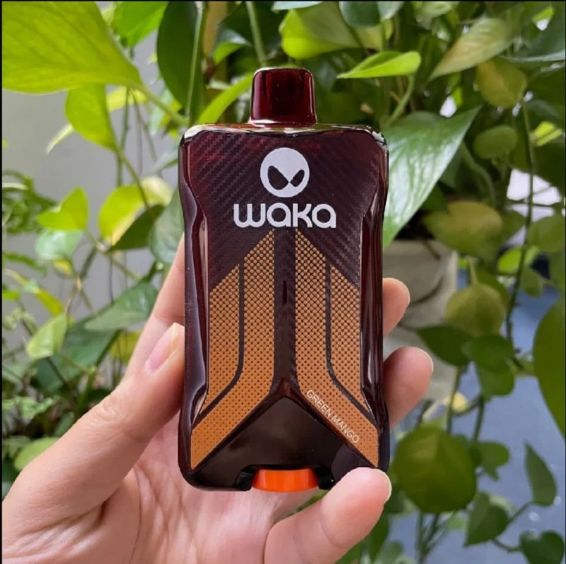 WAKA VOJO Shisha 60000 best