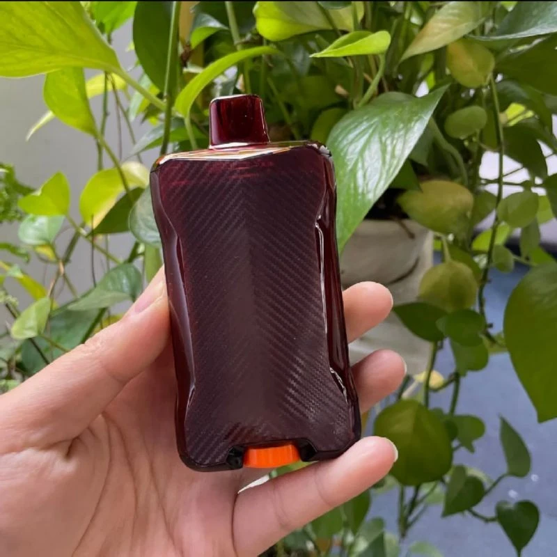 WAKA VOJO Shisha 60000 factory
