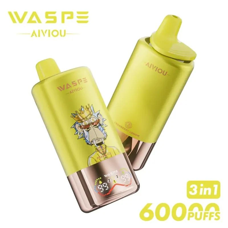 WASPE Aiviou 3in1 60000 best